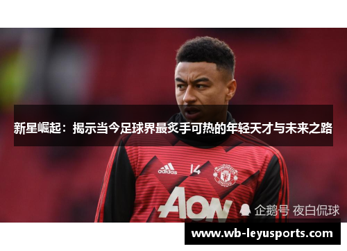 新星崛起：揭示当今足球界最炙手可热的年轻天才与未来之路