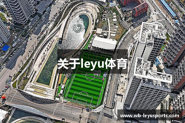 关于leyu体育